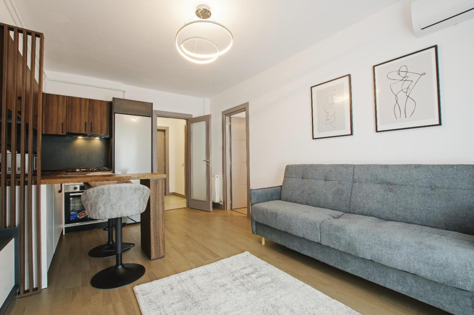 Himson-Brown Apartment Ιάσιο Εξωτερικό φωτογραφία